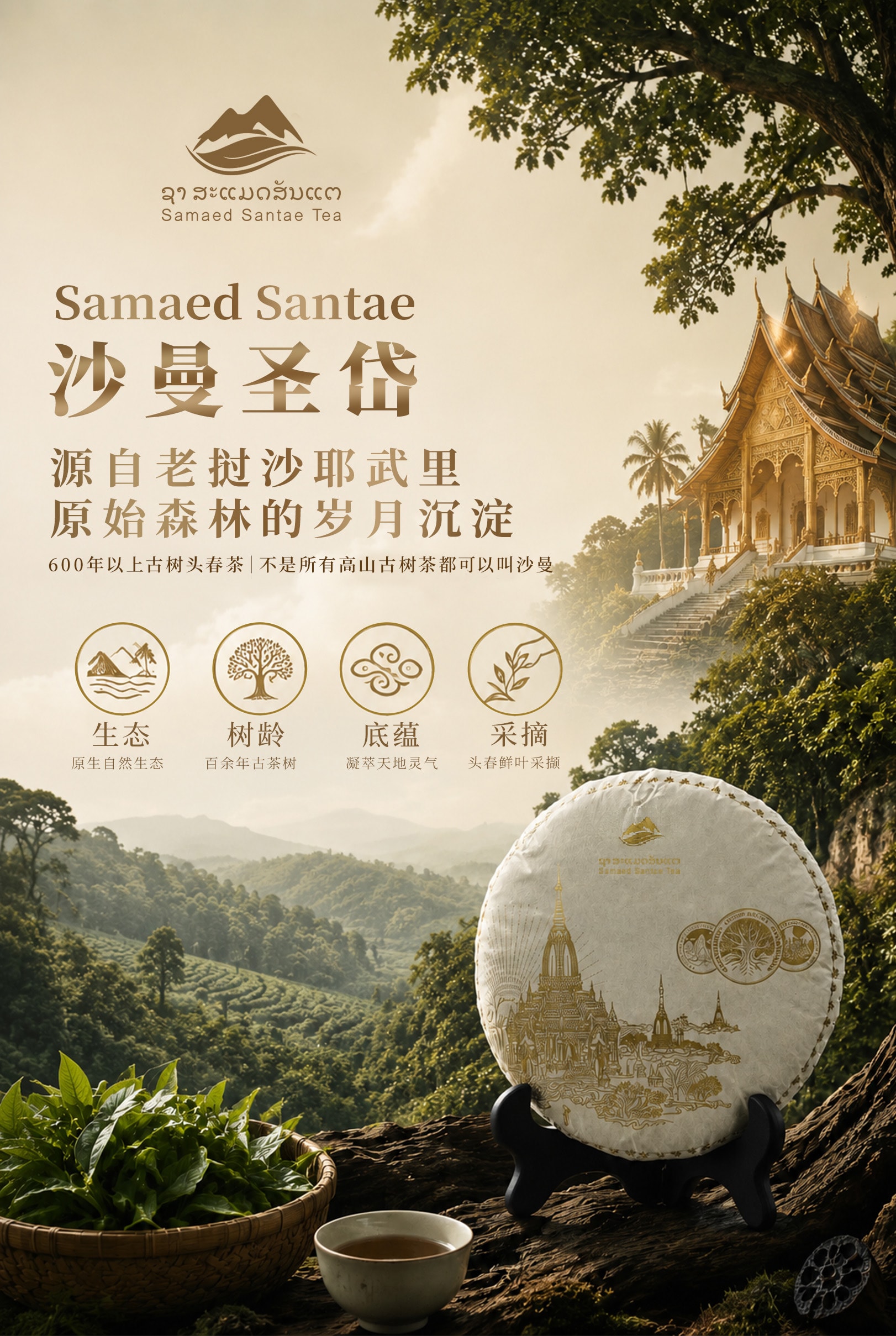 古树茶产品详情第 1 张