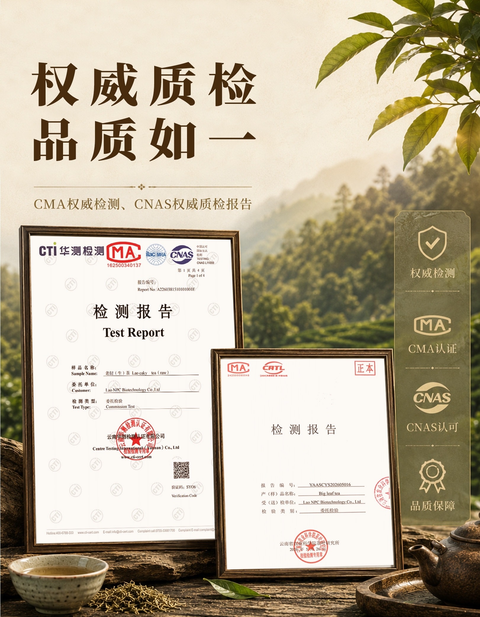 古树茶产品详情第 6 张